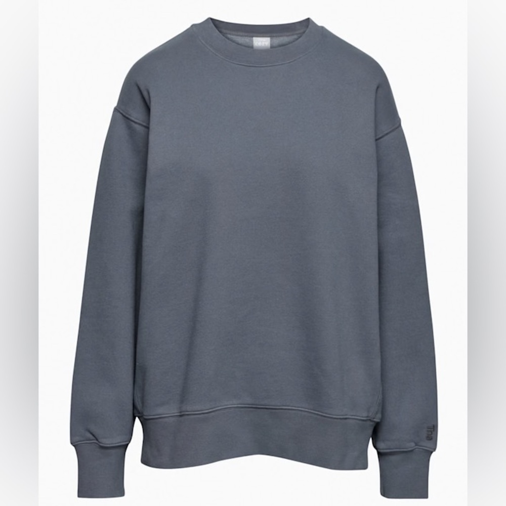 Aritzia Boyfriend Crewneck Sweatshirt
